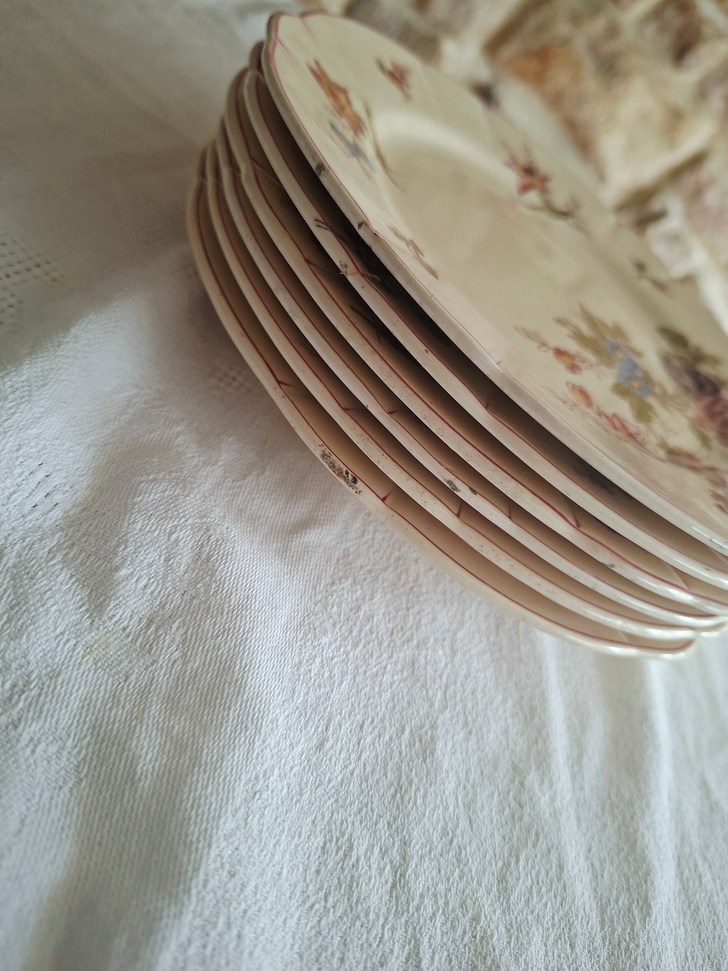 Lot de 6 assiettes à dessert Longchamp (2)