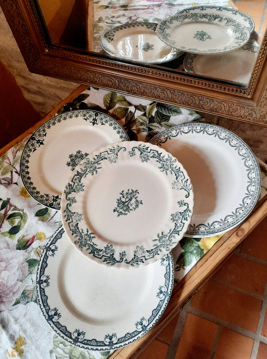 Astrologie et Vaisselle : Quelle Assiette Correspond à Votre Signe ? 🔮✨