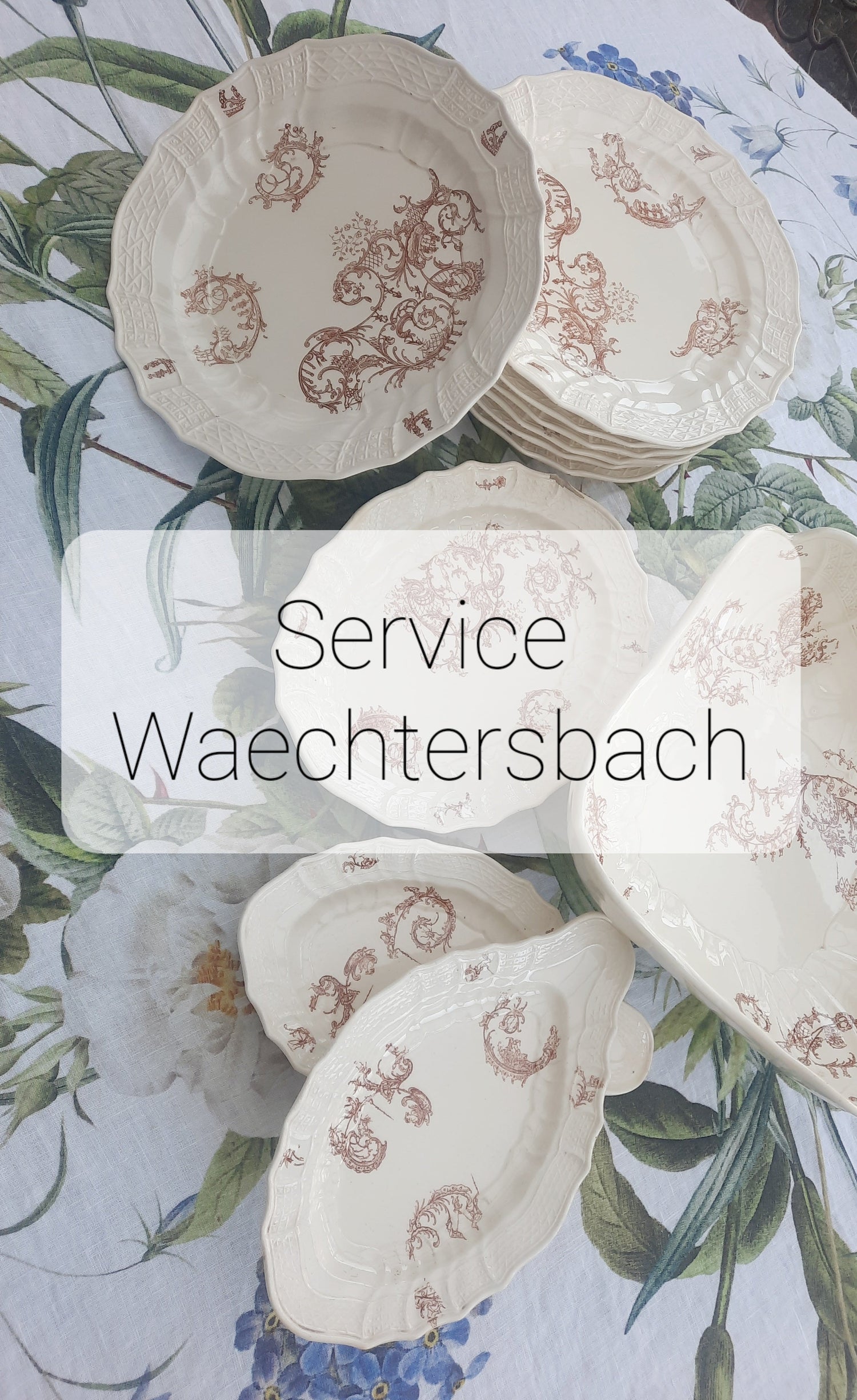 Service Waechtersbach XIXe