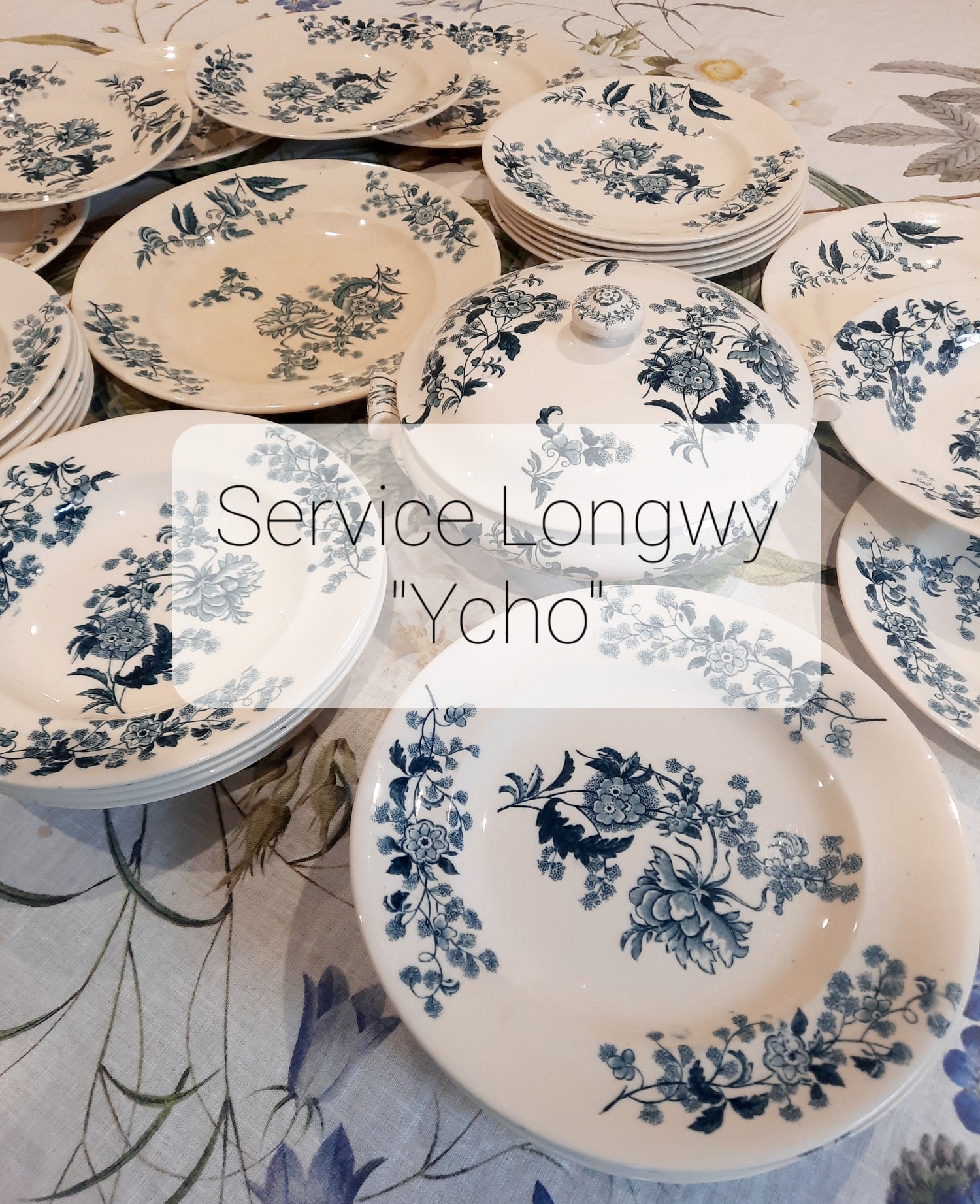 Service Longwy "Ycho"