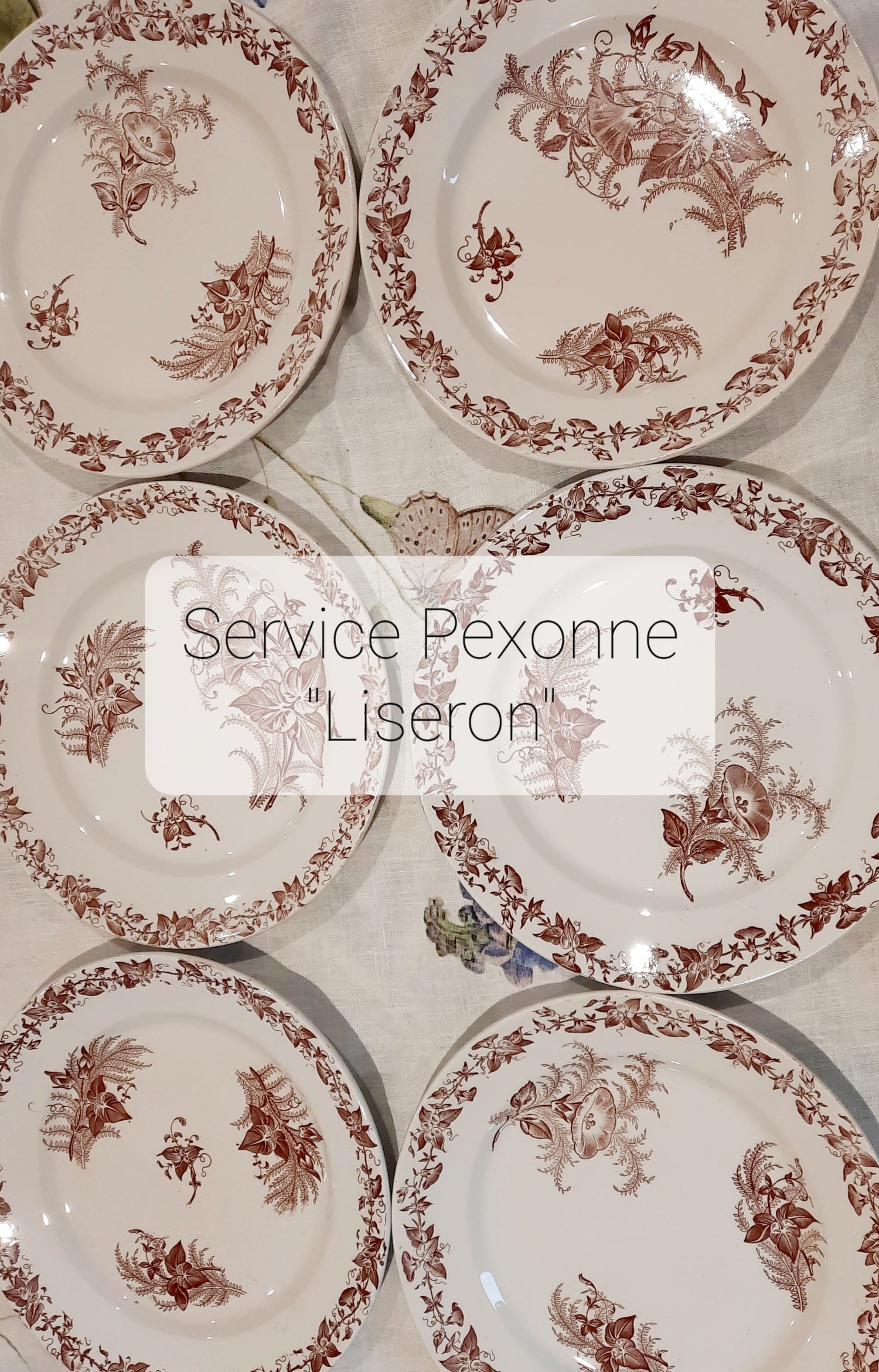 Service Pexonne "Liseron"