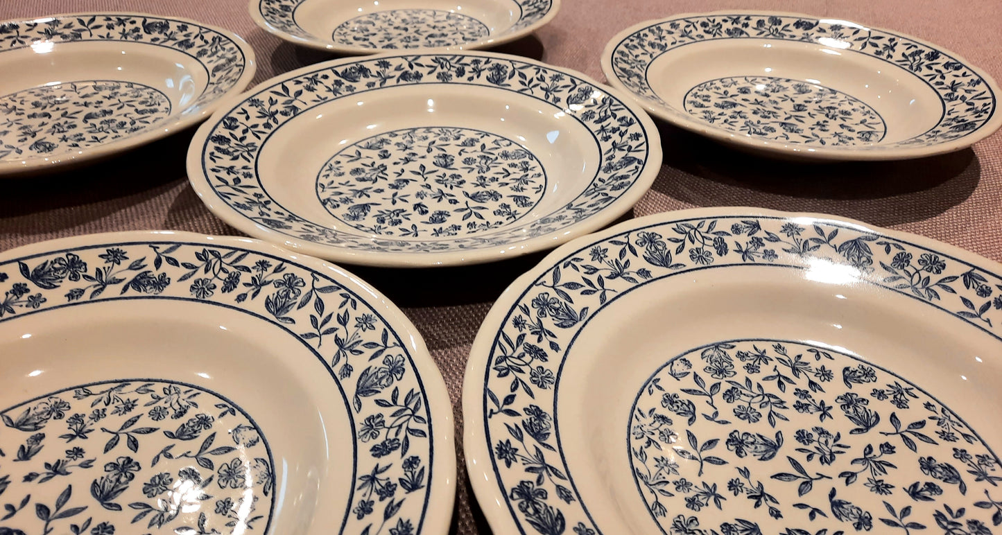 6 platos de sopa