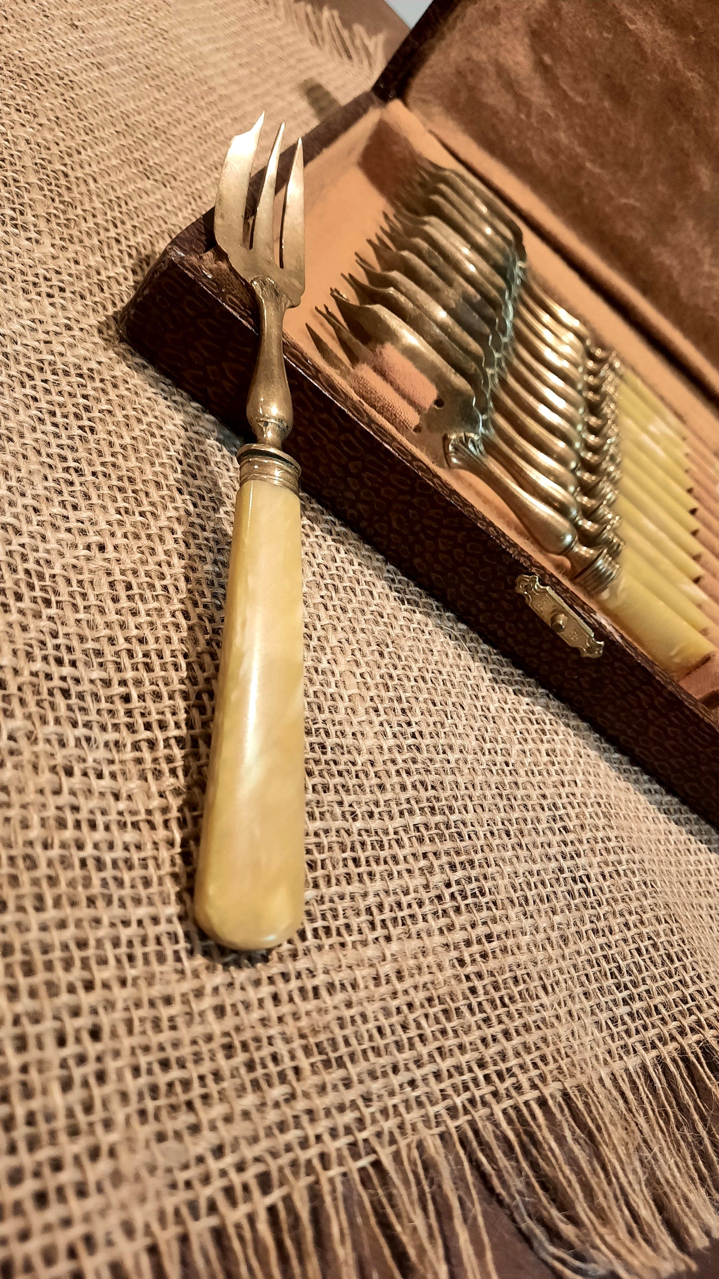 12 garfos de sobremesa