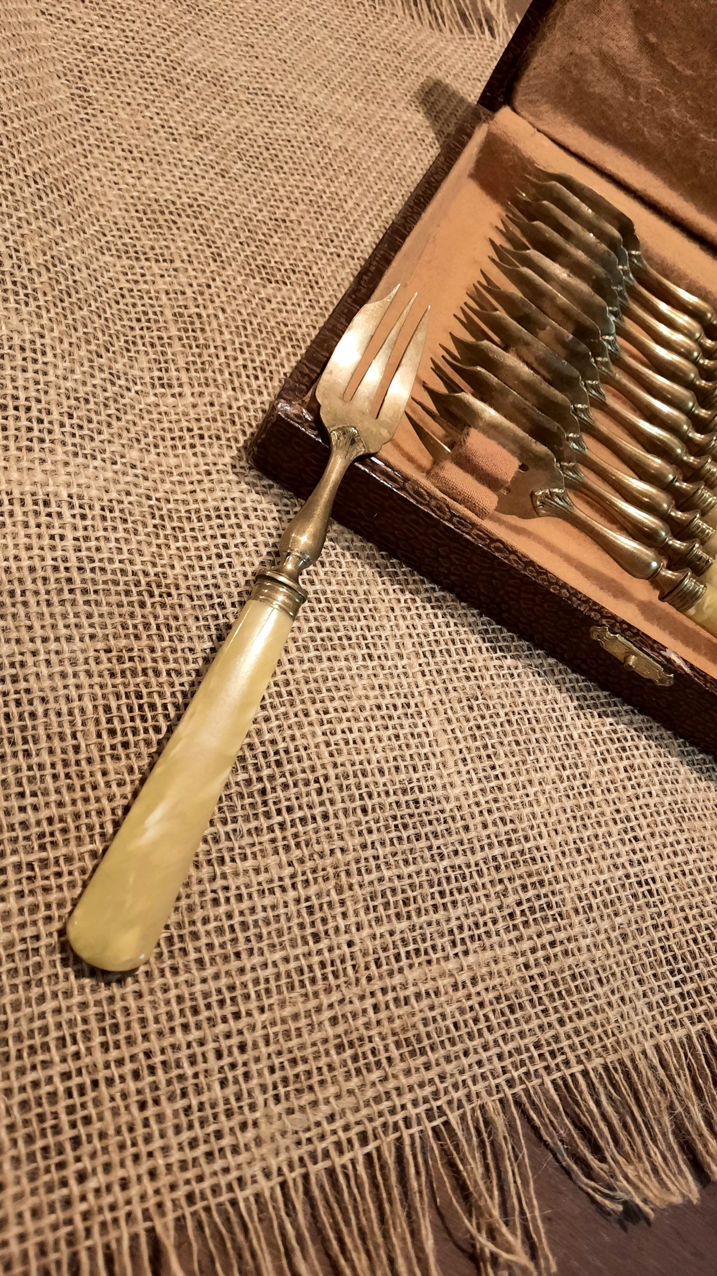 12 garfos de sobremesa