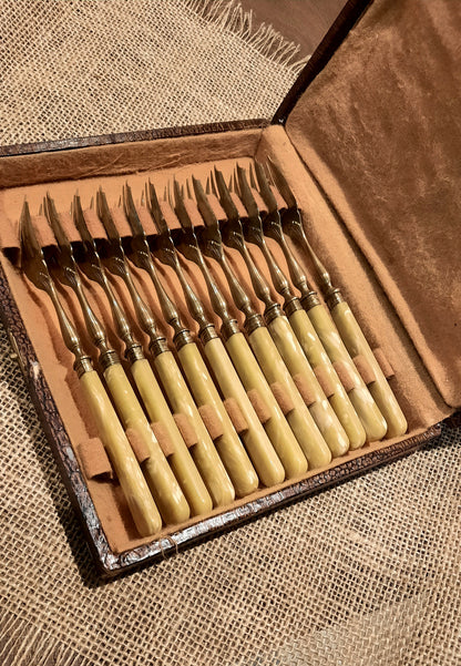 12 garfos de sobremesa