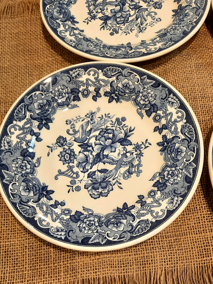 Lot de 6 assiettes à dessert
