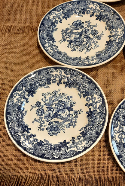 Lot de 6 assiettes à dessert