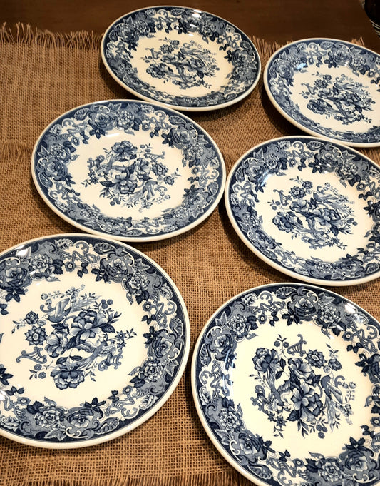 Conjunto de 6 pratos de sobremesa