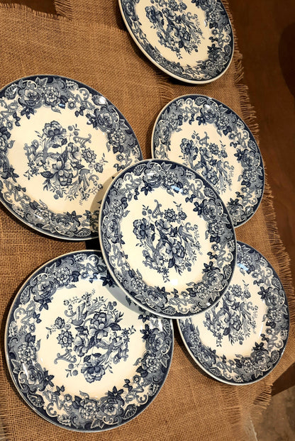 Conjunto de 6 pratos rasos