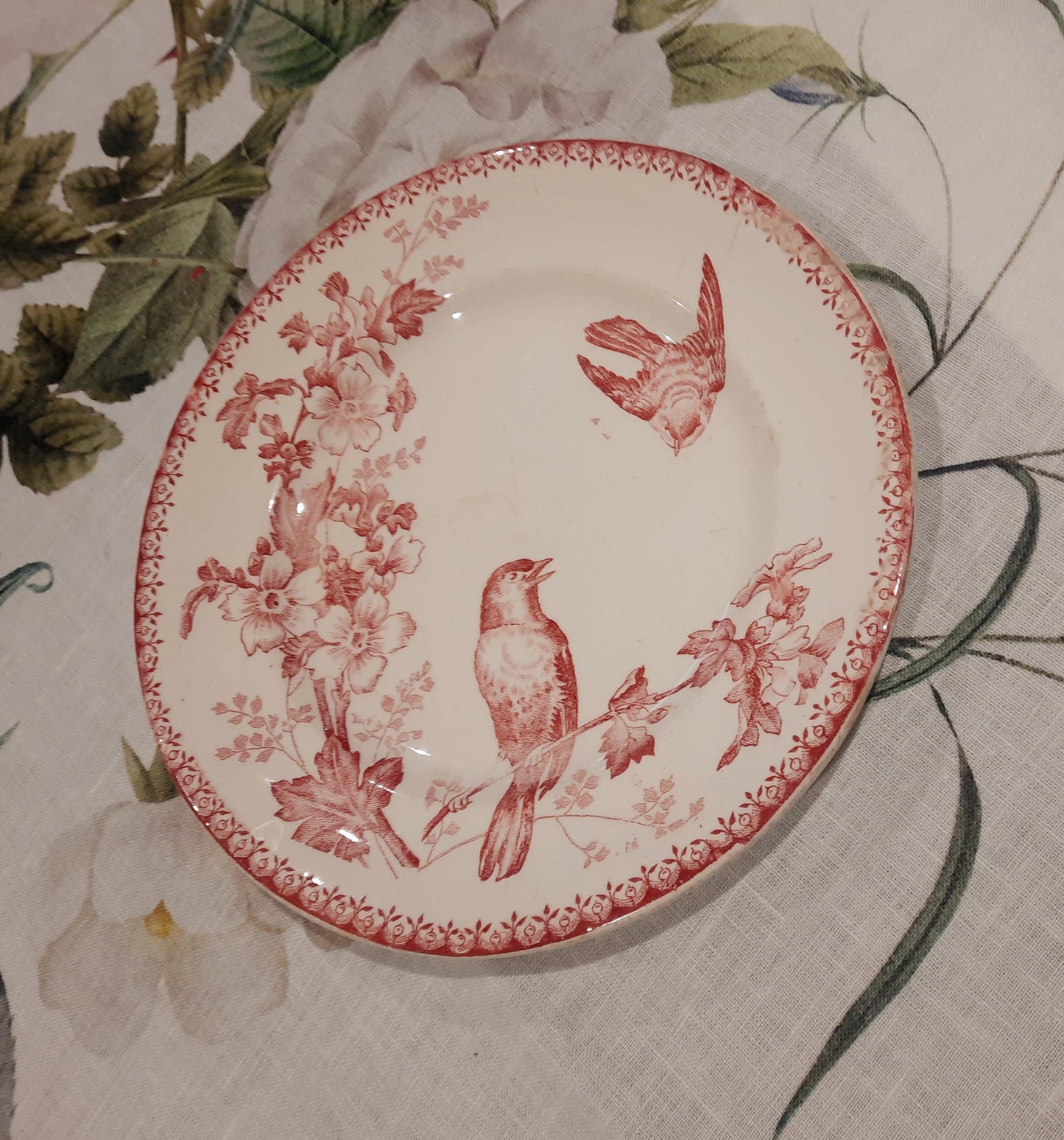 Assiette à Dessert Mésange – Longwy – Élégance et Authenticité