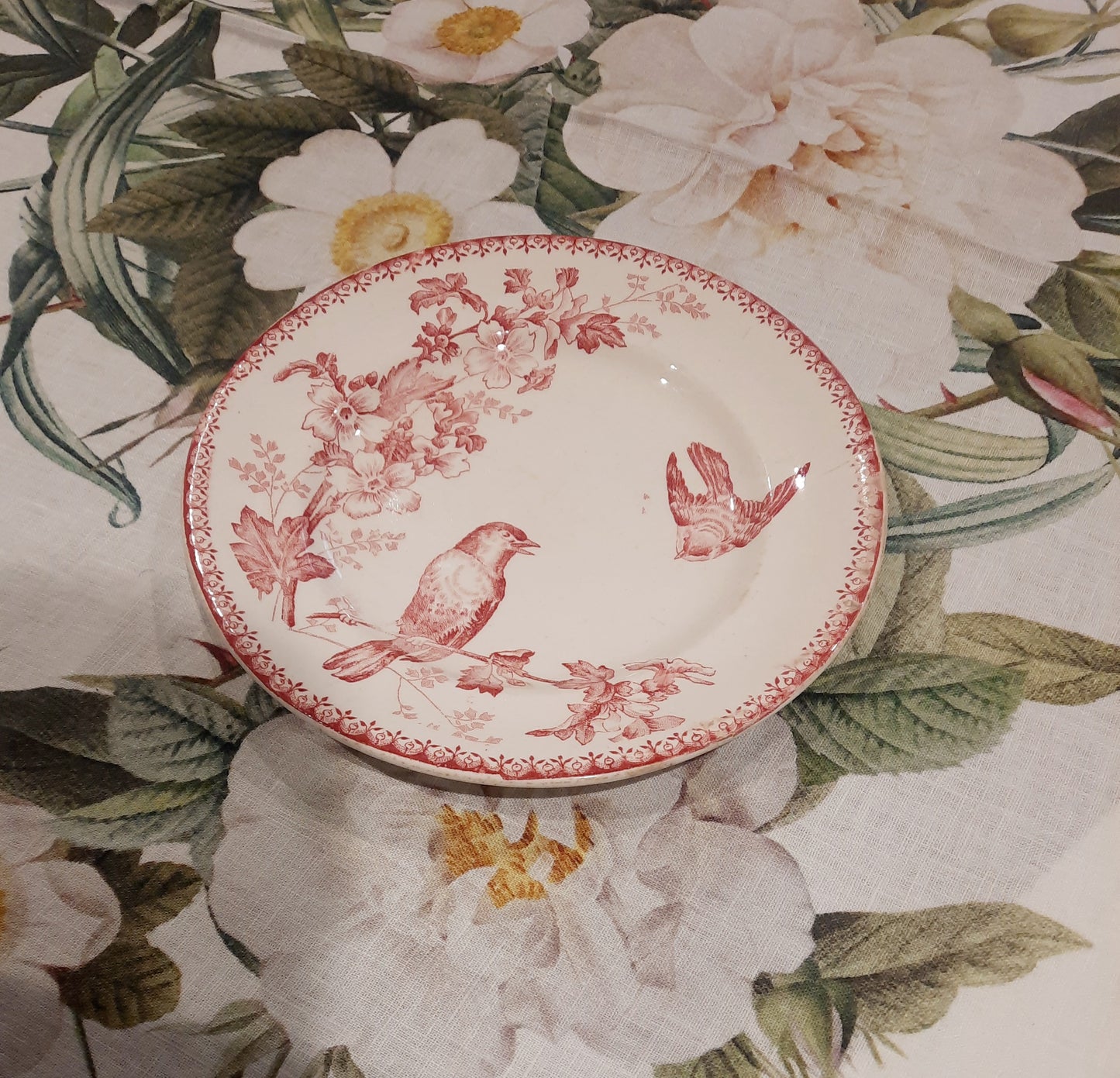 Assiette à Dessert Mésange – Longwy – Élégance et Authenticité