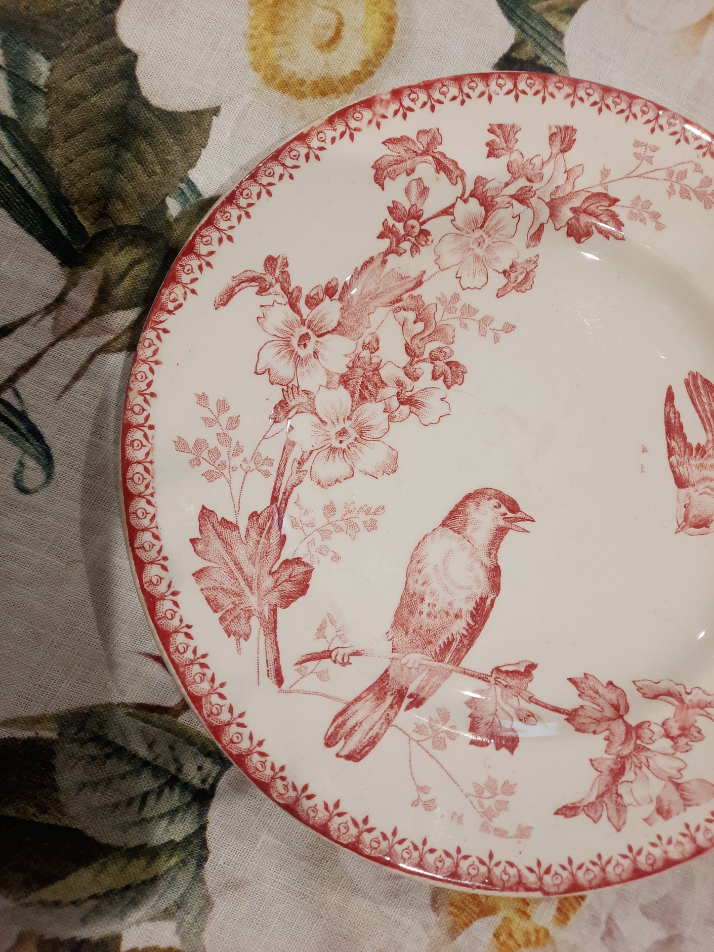 Assiette à Dessert Mésange – Longwy – Élégance et Authenticité