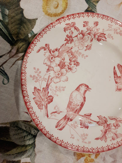 Assiette à Dessert Mésange – Longwy – Élégance et Authenticité