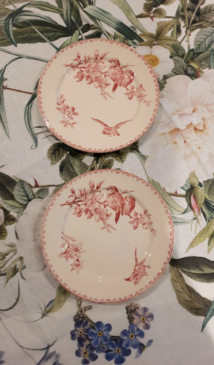 Dois pratos de sobremesa Sarreguemines – modelo “Favorite” – motivo Red Bird