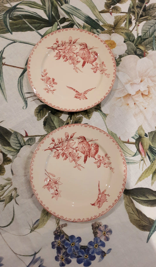Dois pratos de sobremesa Sarreguemines – modelo “Favorite” – motivo Red Bird