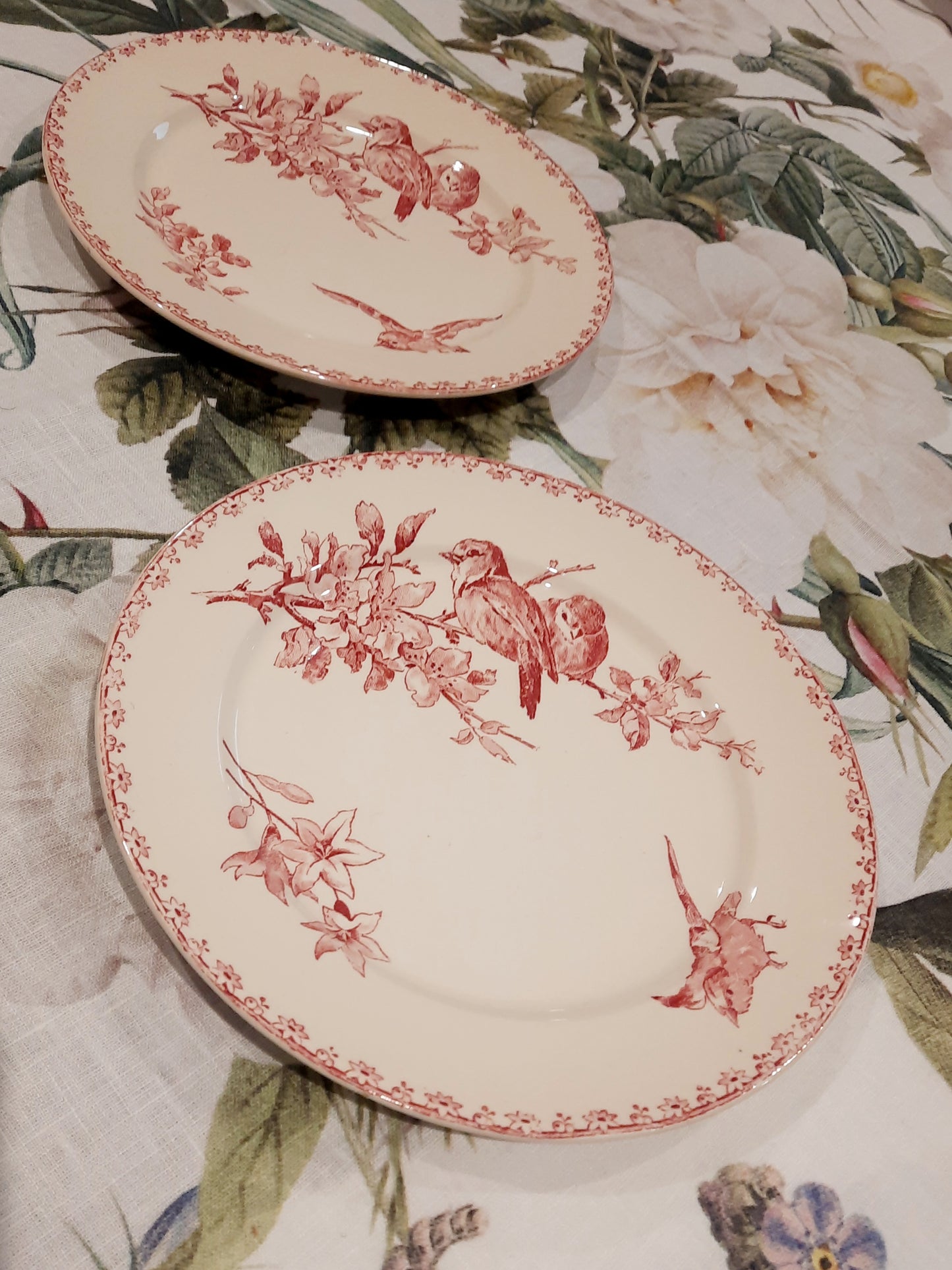 Dois pratos de sobremesa Sarreguemines – modelo “Favorite” – motivo Red Bird