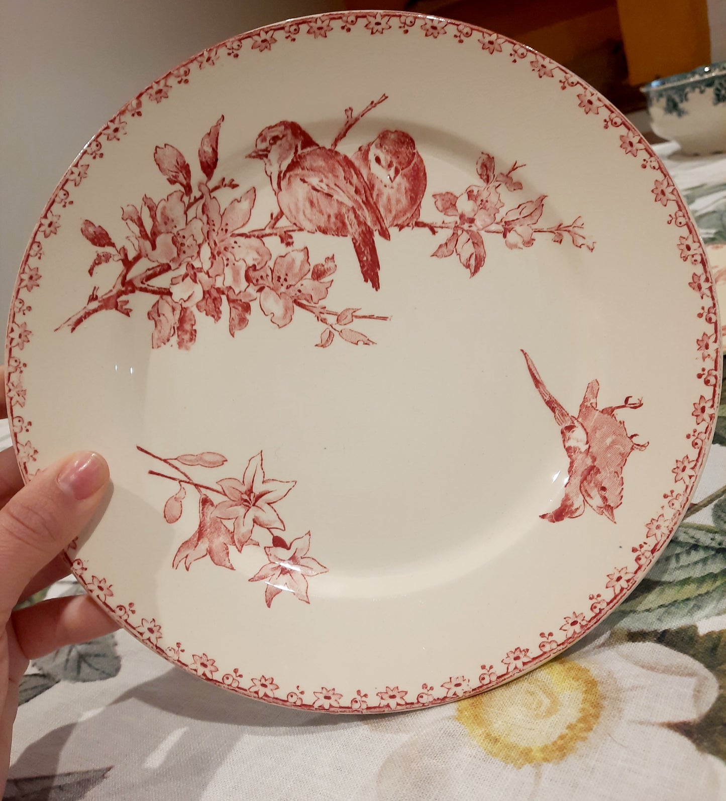 Dois pratos de sobremesa Sarreguemines – modelo “Favorite” – motivo Red Bird