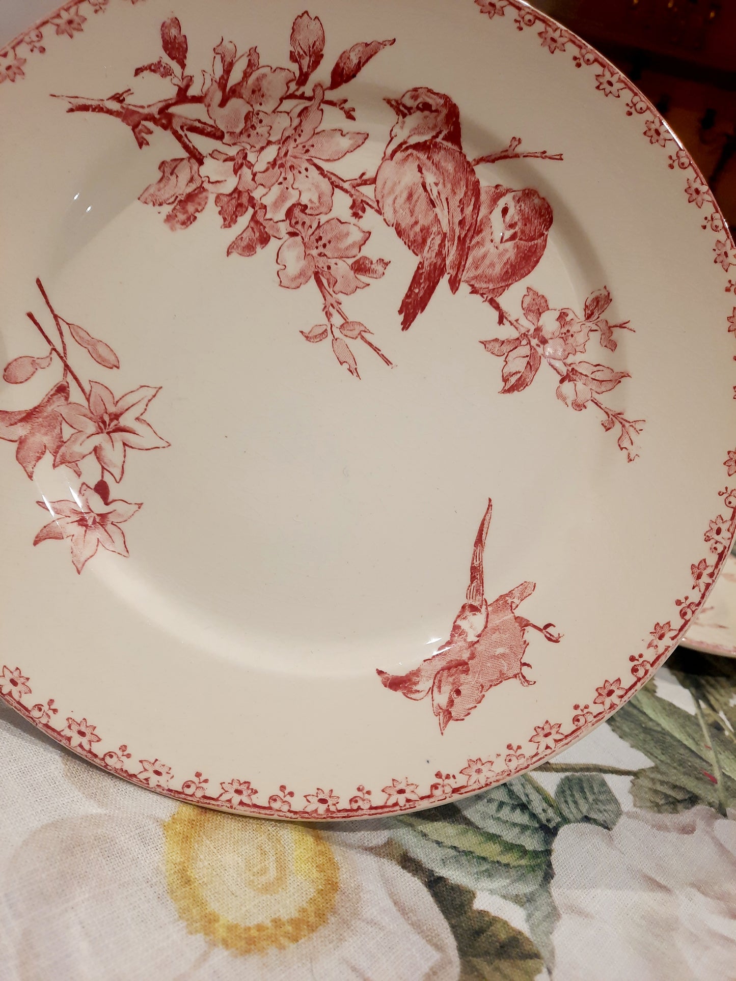 Dois pratos de sobremesa Sarreguemines – modelo “Favorite” – motivo Red Bird