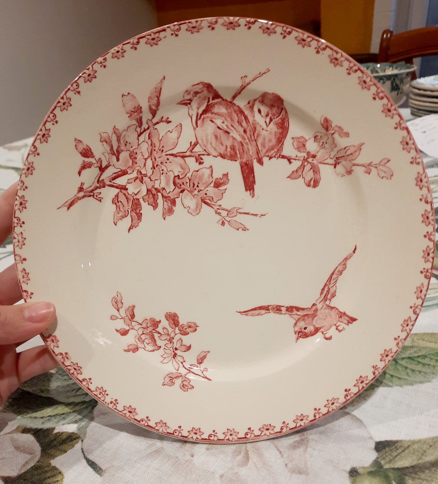 Dois pratos de sobremesa Sarreguemines – modelo “Favorite” – motivo Red Bird