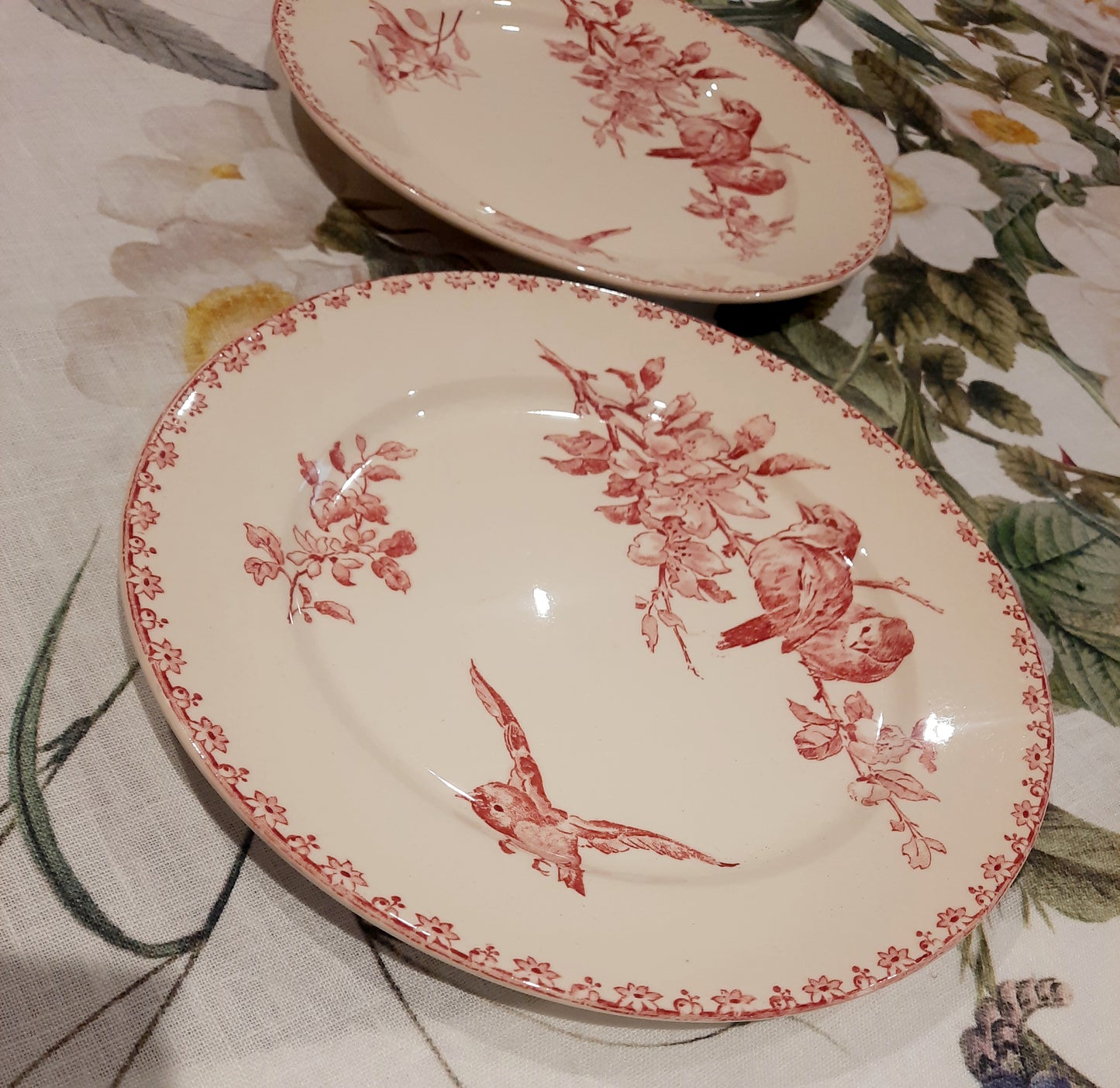 Dois pratos de sobremesa Sarreguemines – modelo “Favorite” – motivo Red Bird