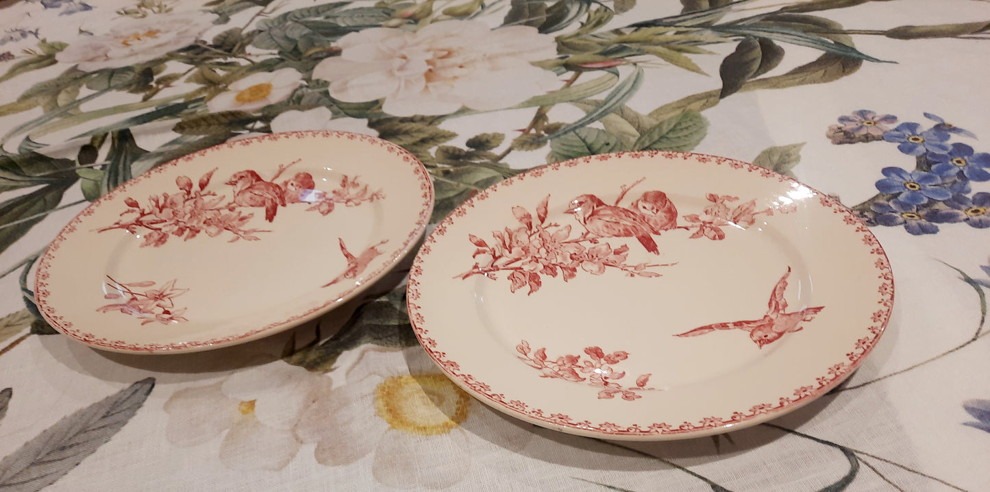 Dois pratos de sobremesa Sarreguemines – modelo “Favorite” – motivo Red Bird