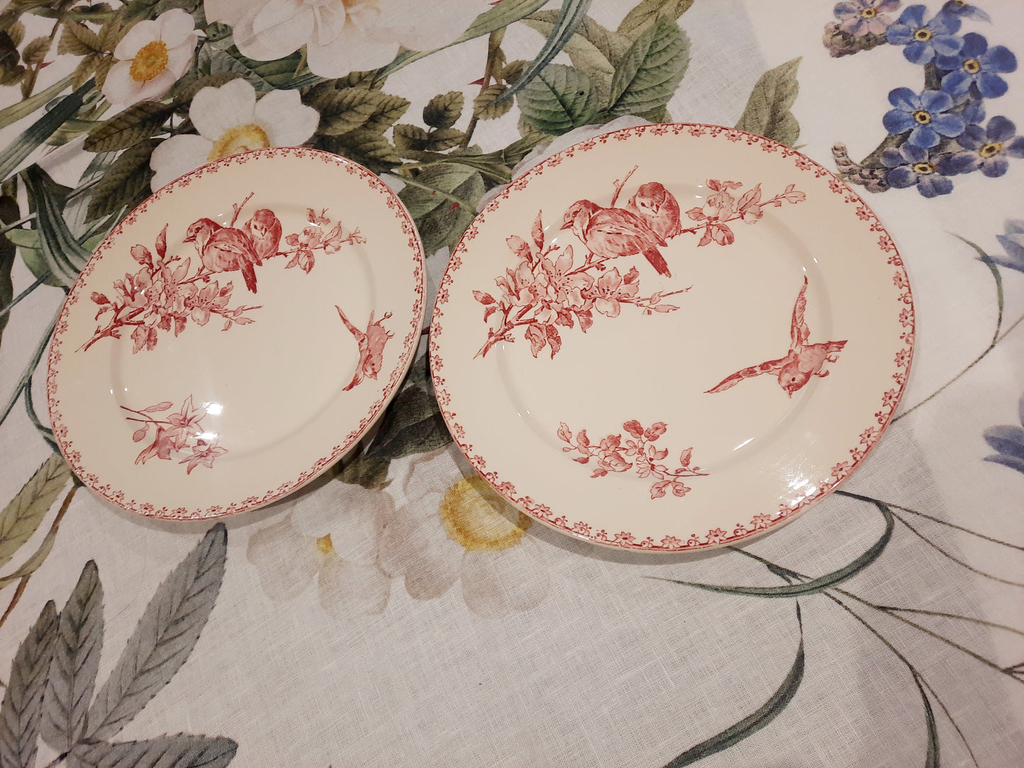 Dois pratos de sobremesa Sarreguemines – modelo “Favorite” – motivo Red Bird