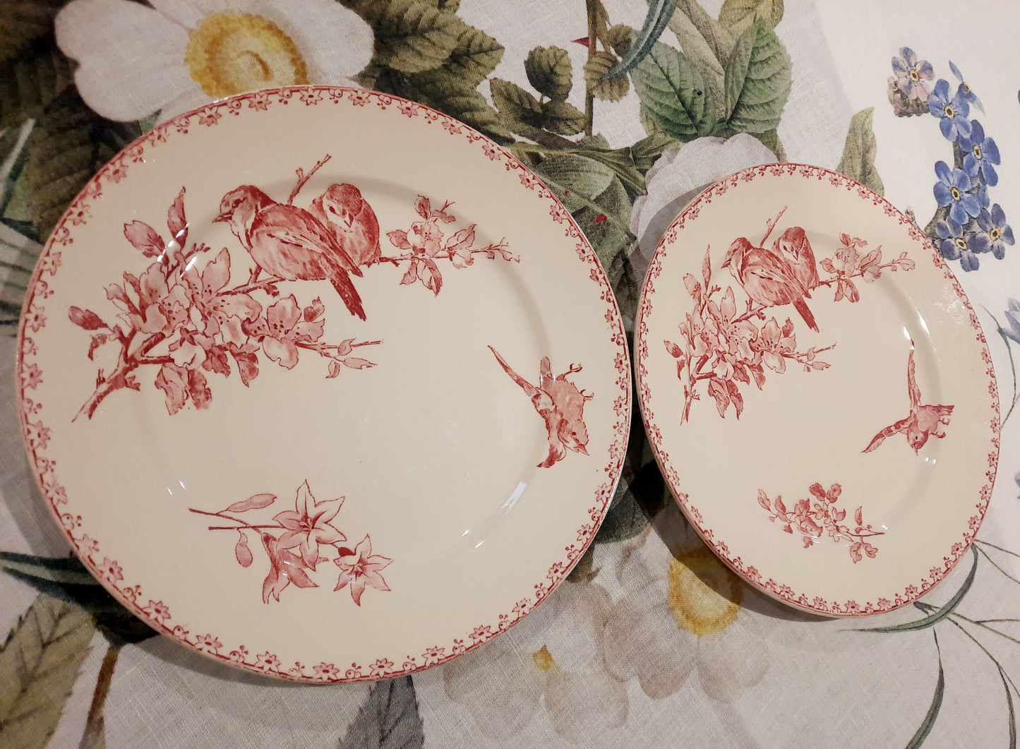 Dois pratos de sobremesa Sarreguemines – modelo “Favorite” – motivo Red Bird