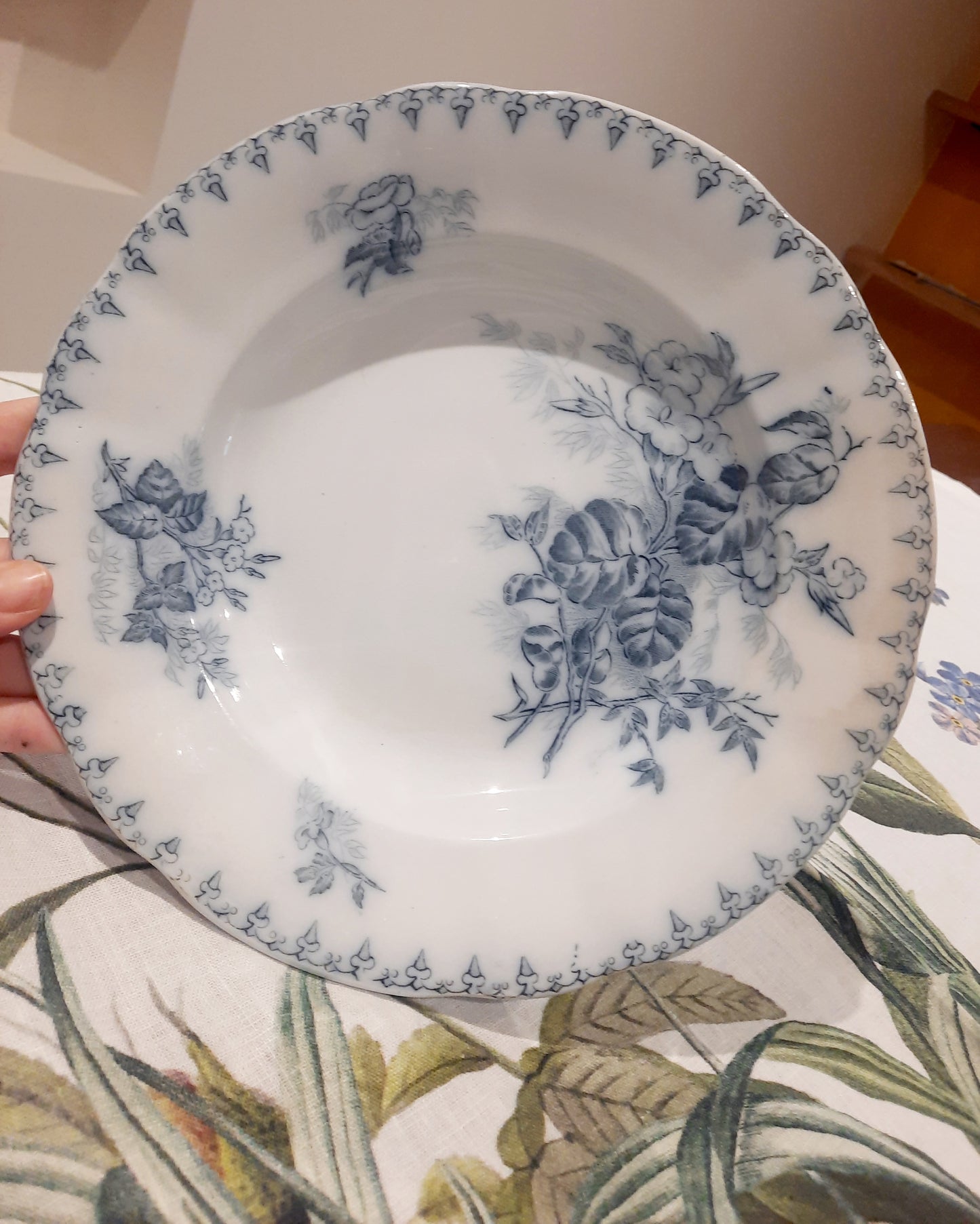 Lot de 2 Assiettes Creuses "Flore" – U&C Sarreguemines