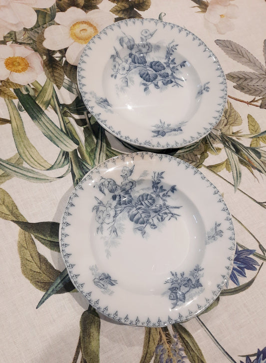 Lot de 2 Assiettes Creuses "Flore" – U&C Sarreguemines