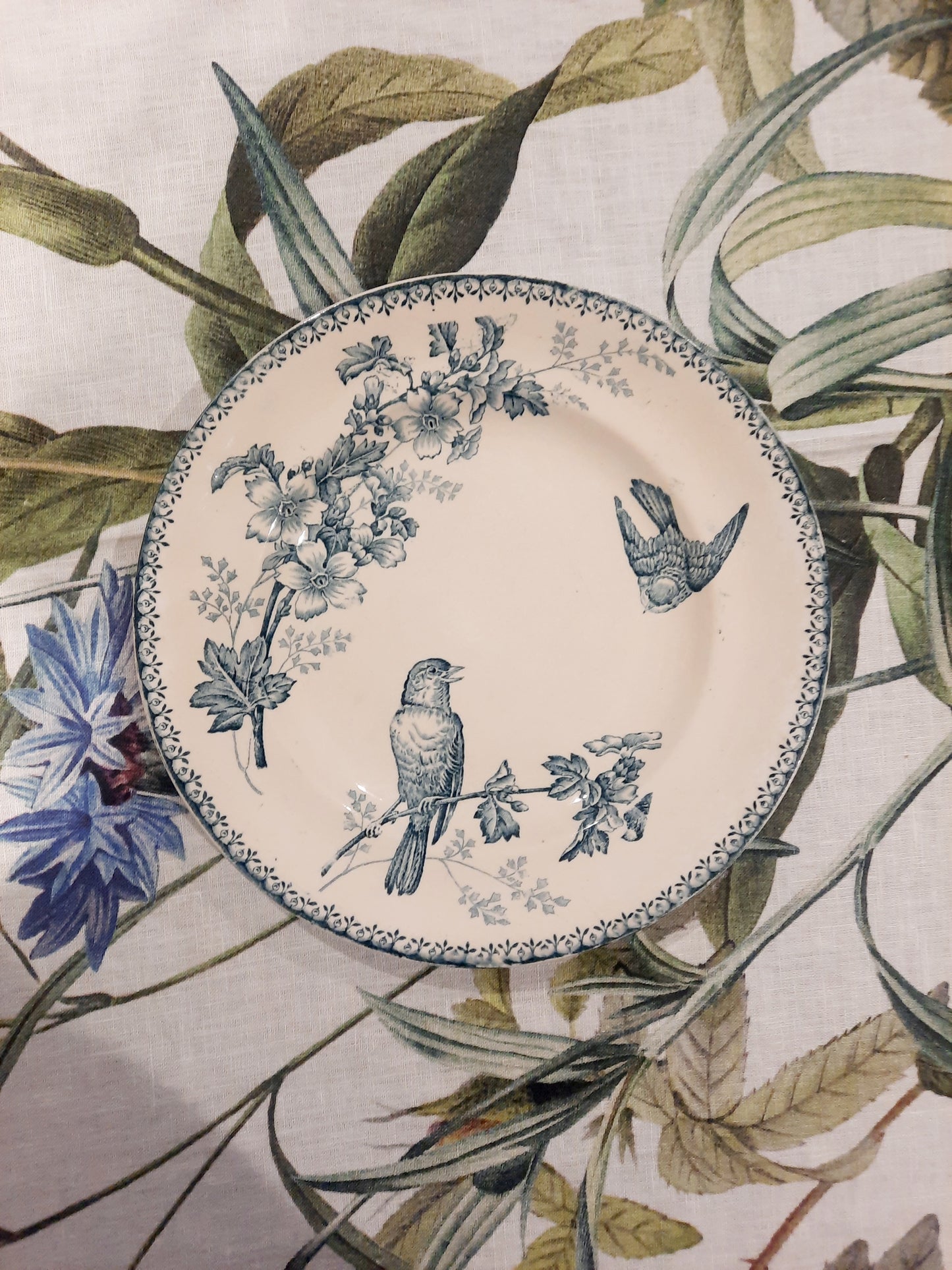 Prato de jantar "Titmouse" – Longwy