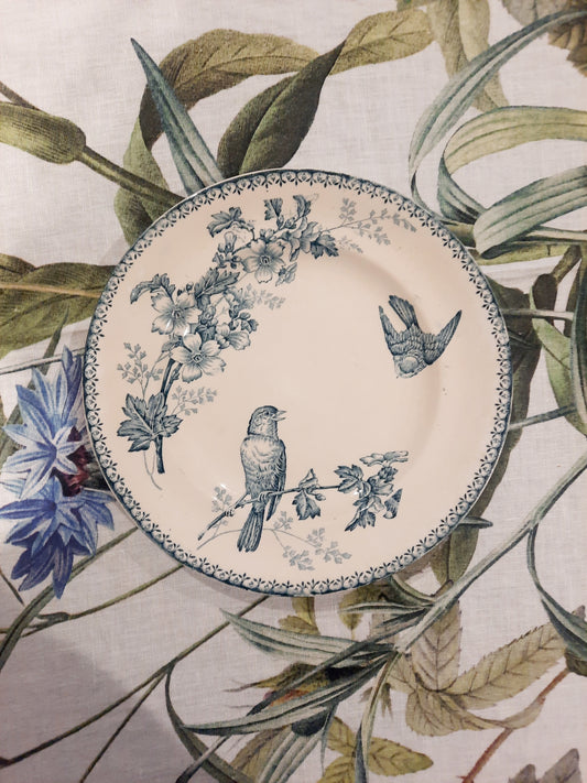 Prato de jantar "Titmouse" – Longwy