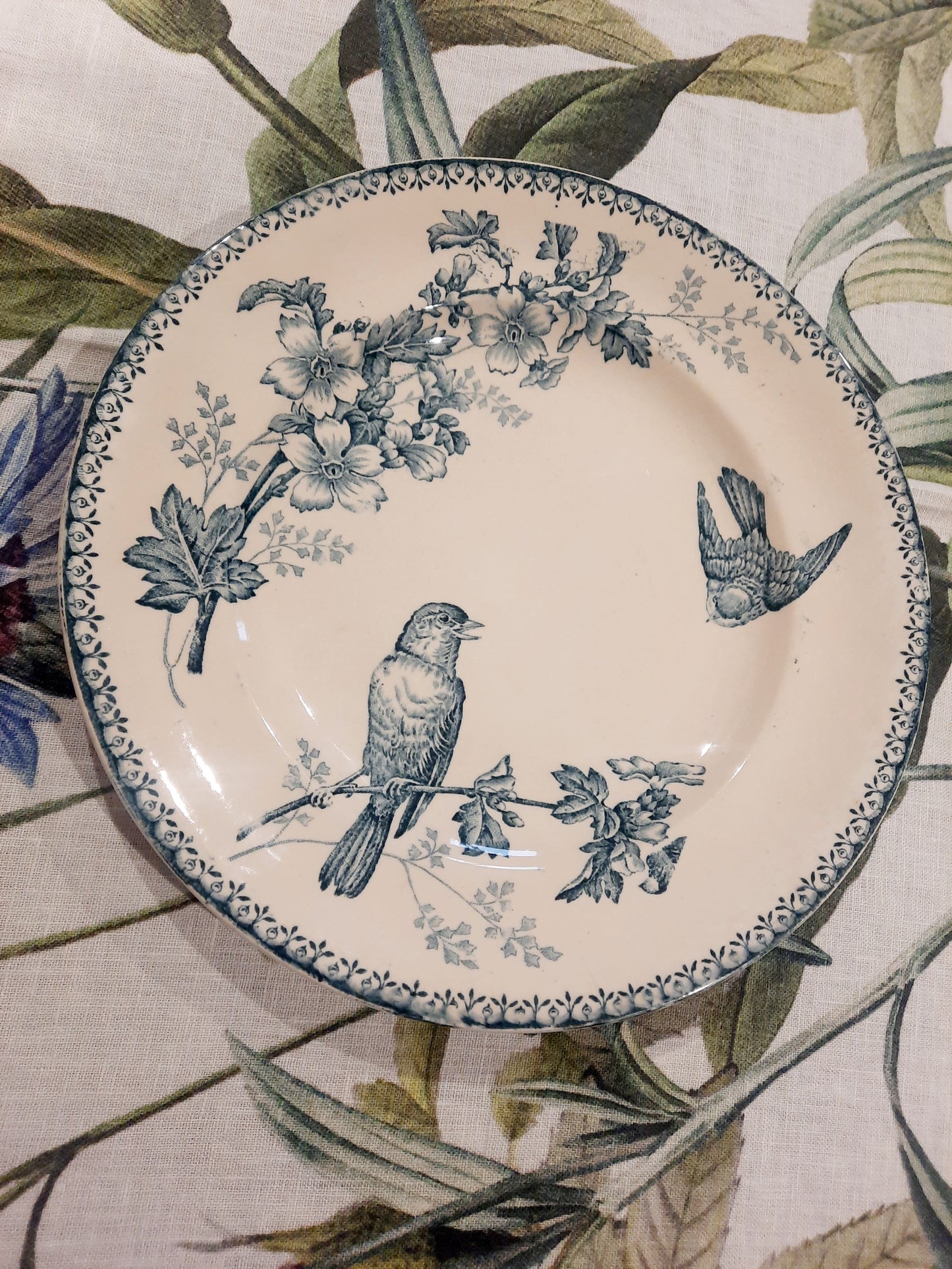 Prato de jantar "Titmouse" – Longwy