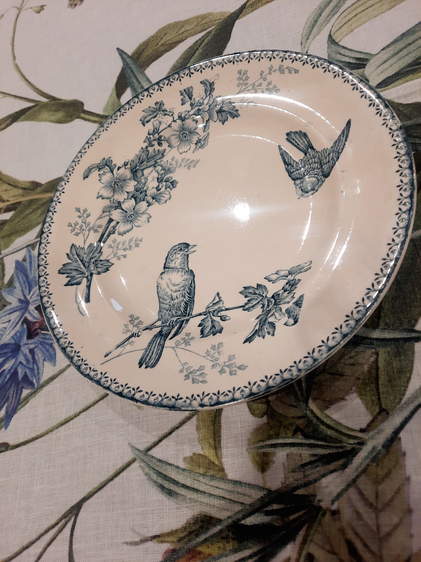 Prato de jantar "Titmouse" – Longwy