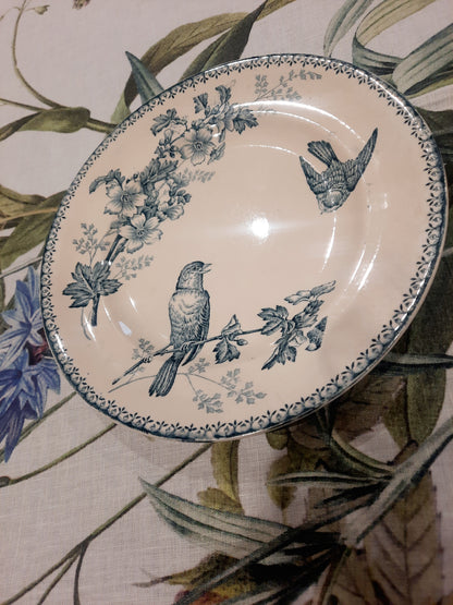 Prato de jantar "Titmouse" – Longwy