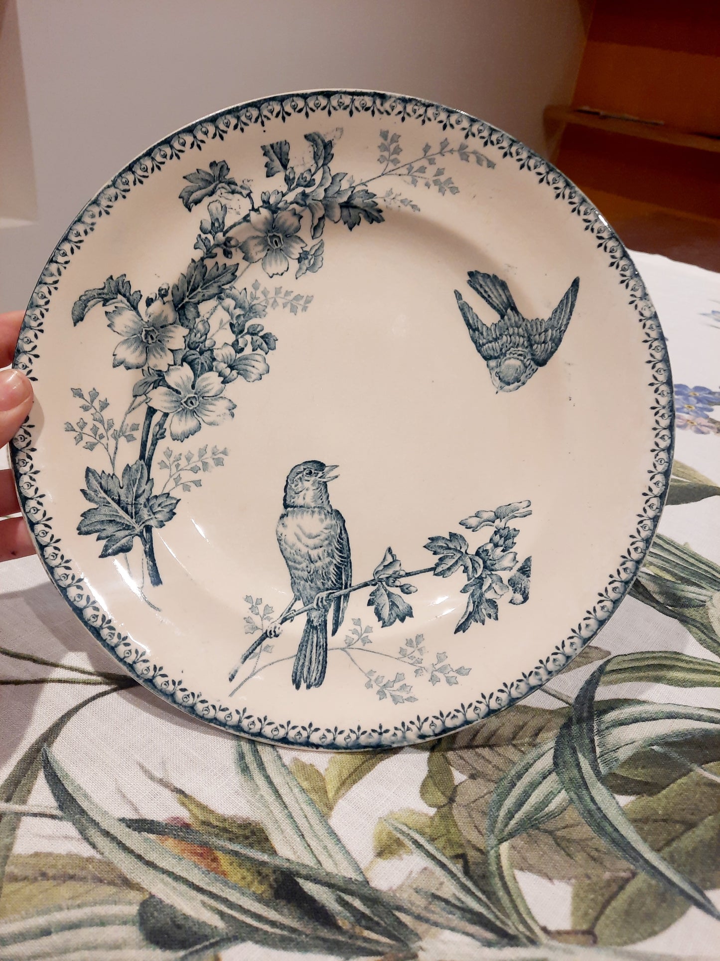 Prato de jantar "Titmouse" – Longwy