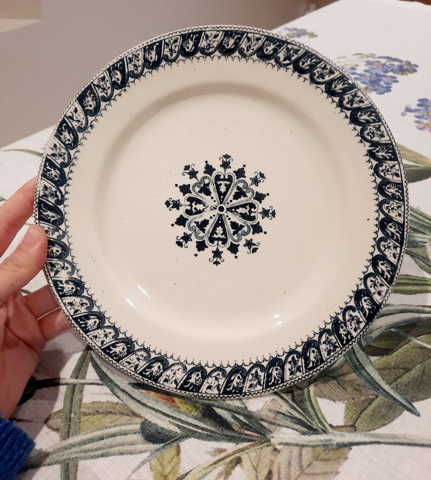 Assiette Plate Henri II – Salins Terre de Fer