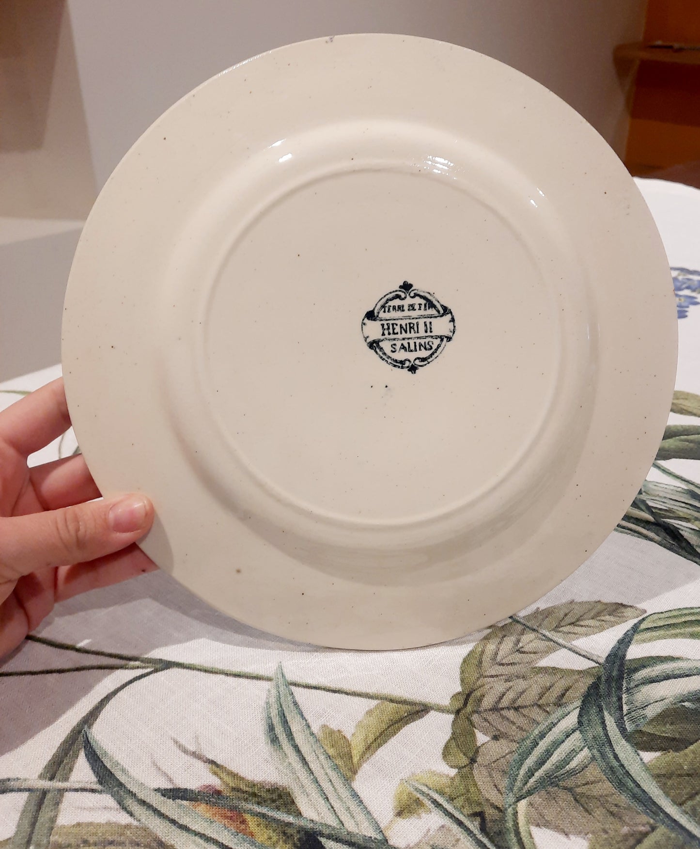 Assiette Plate Henri II – Salins Terre de Fer