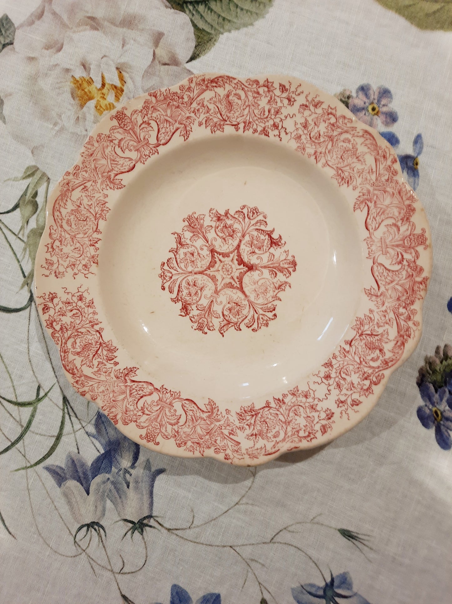 Prato de sopa "Bella" – Longchamp Terre de Fer