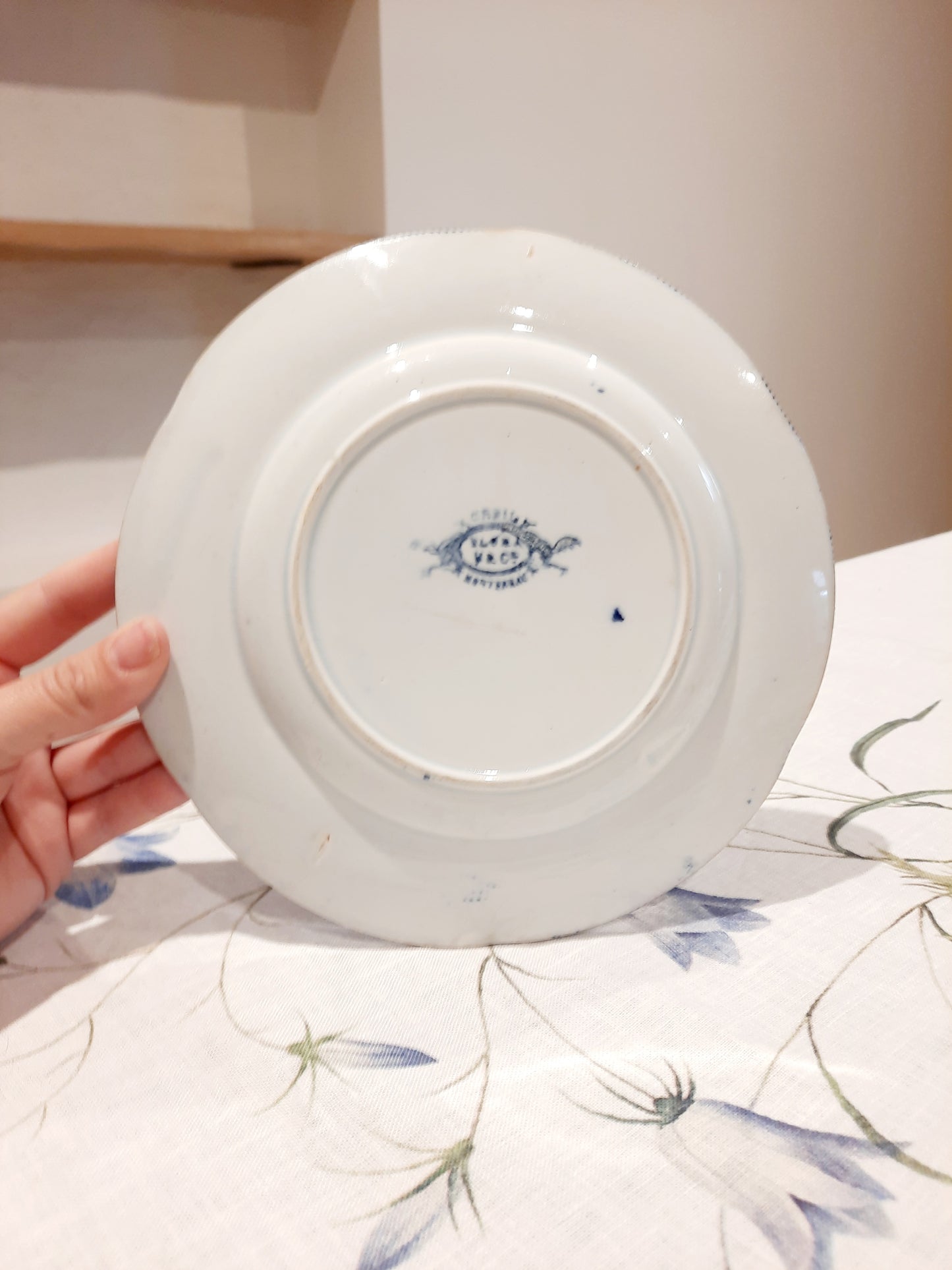 Assiette à Dessert "Flora" – B&Cie Creil Montereau