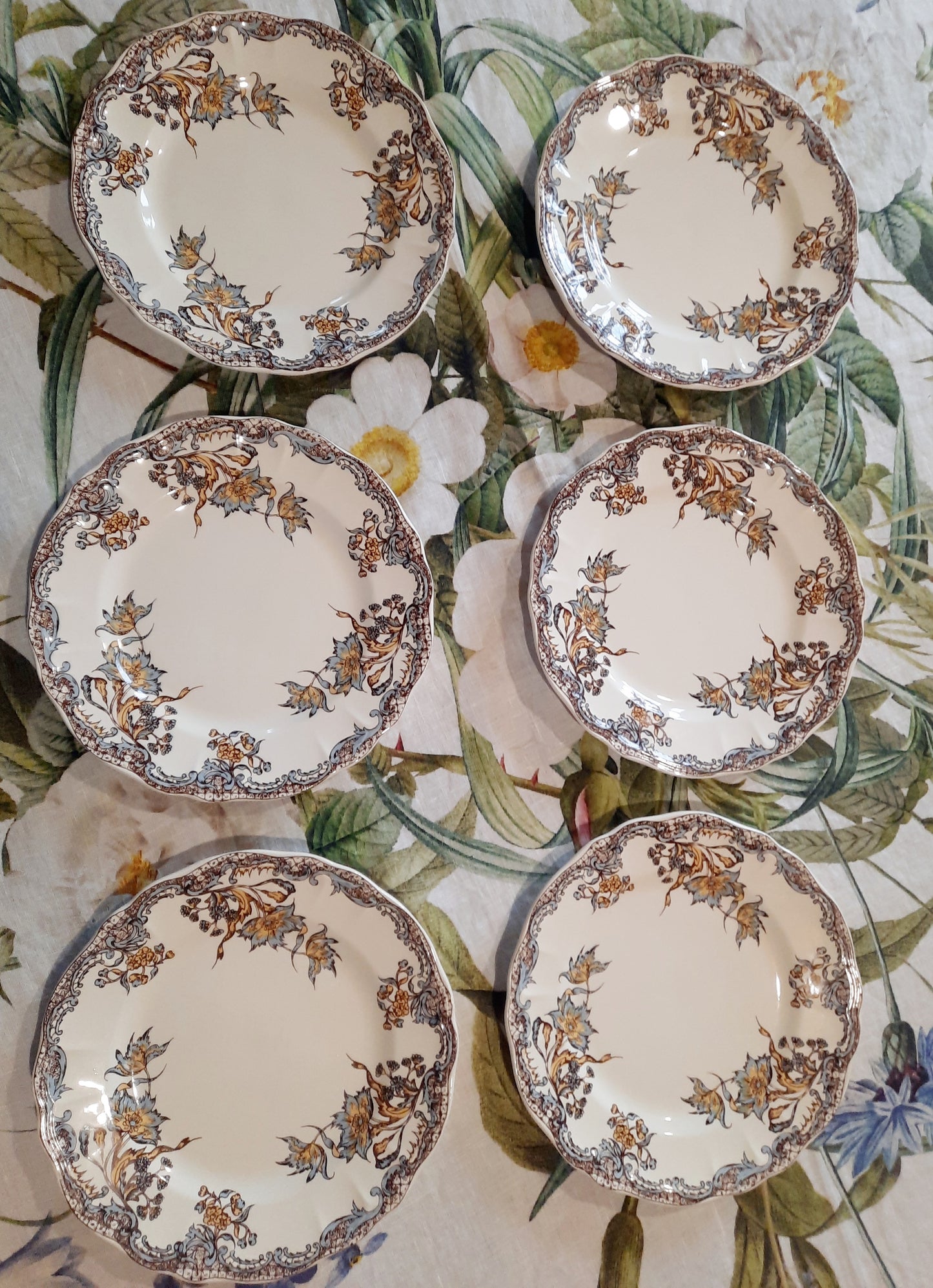 Service de 6 assiettes à dessert Salins "Chevreuse"