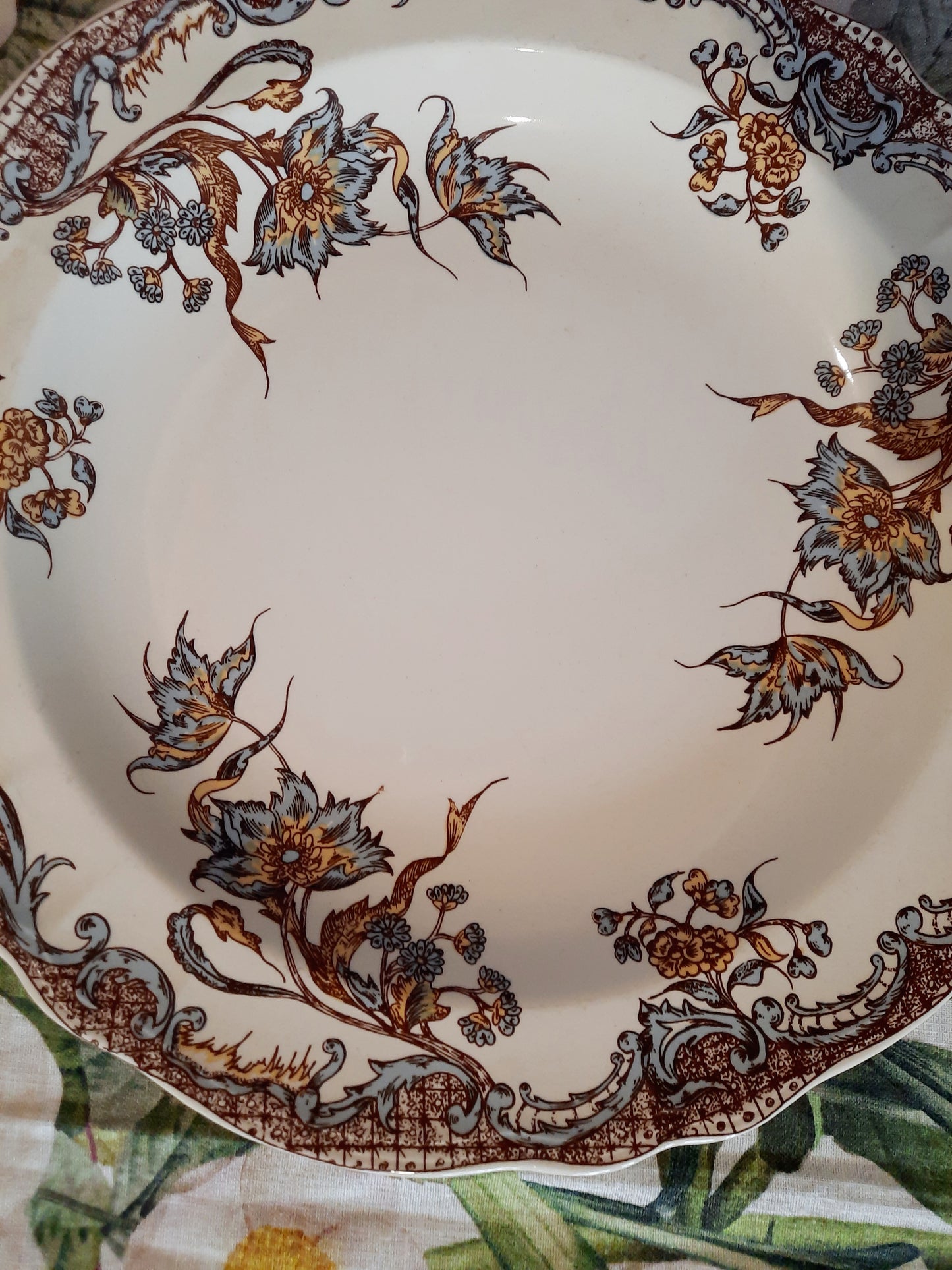 Service de 12 assiettes Salins "Chevreuse" !