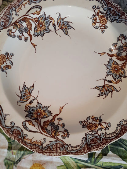 Service de 12 assiettes Salins "Chevreuse" !