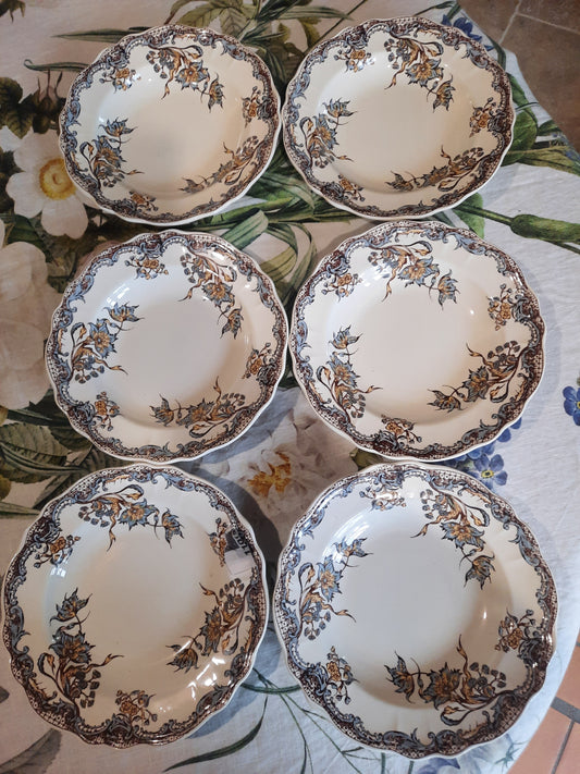 Service de 6 assiettes creuses Salins "Chevreuse"
