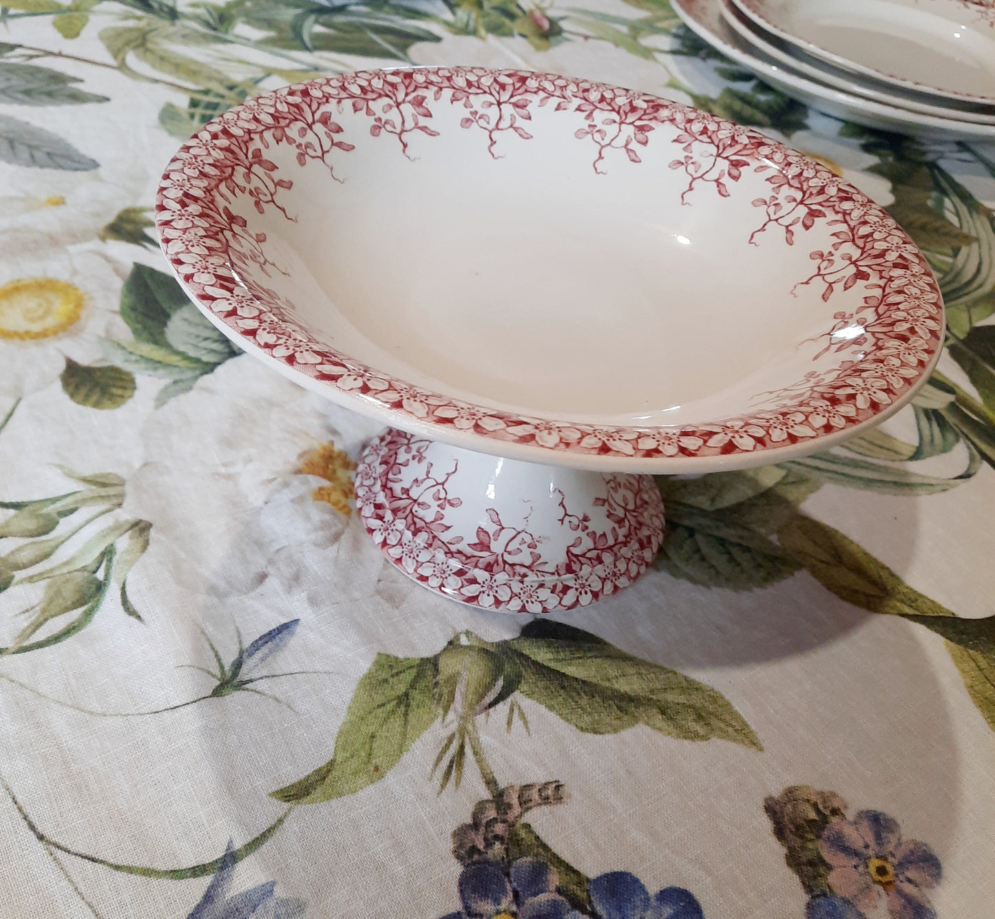Coupe à fruits Sarreguemines "Florine"