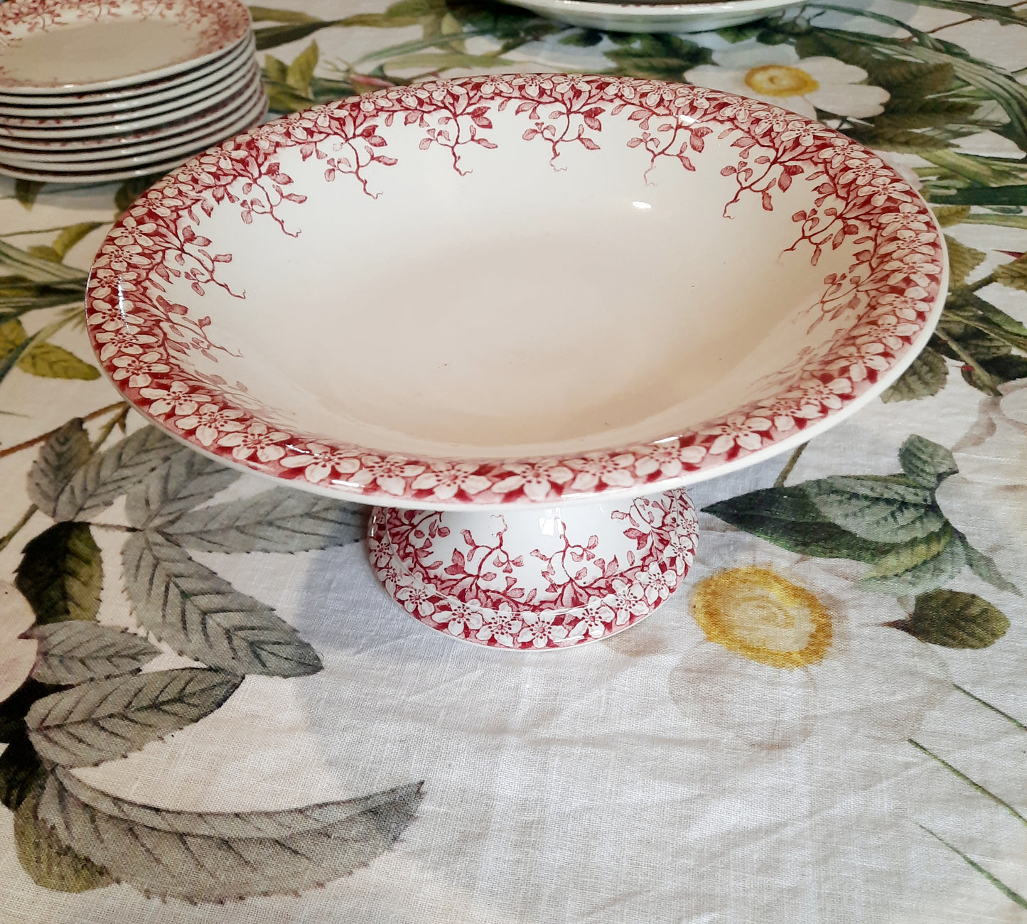 Coupe à fruits Sarreguemines "Florine"