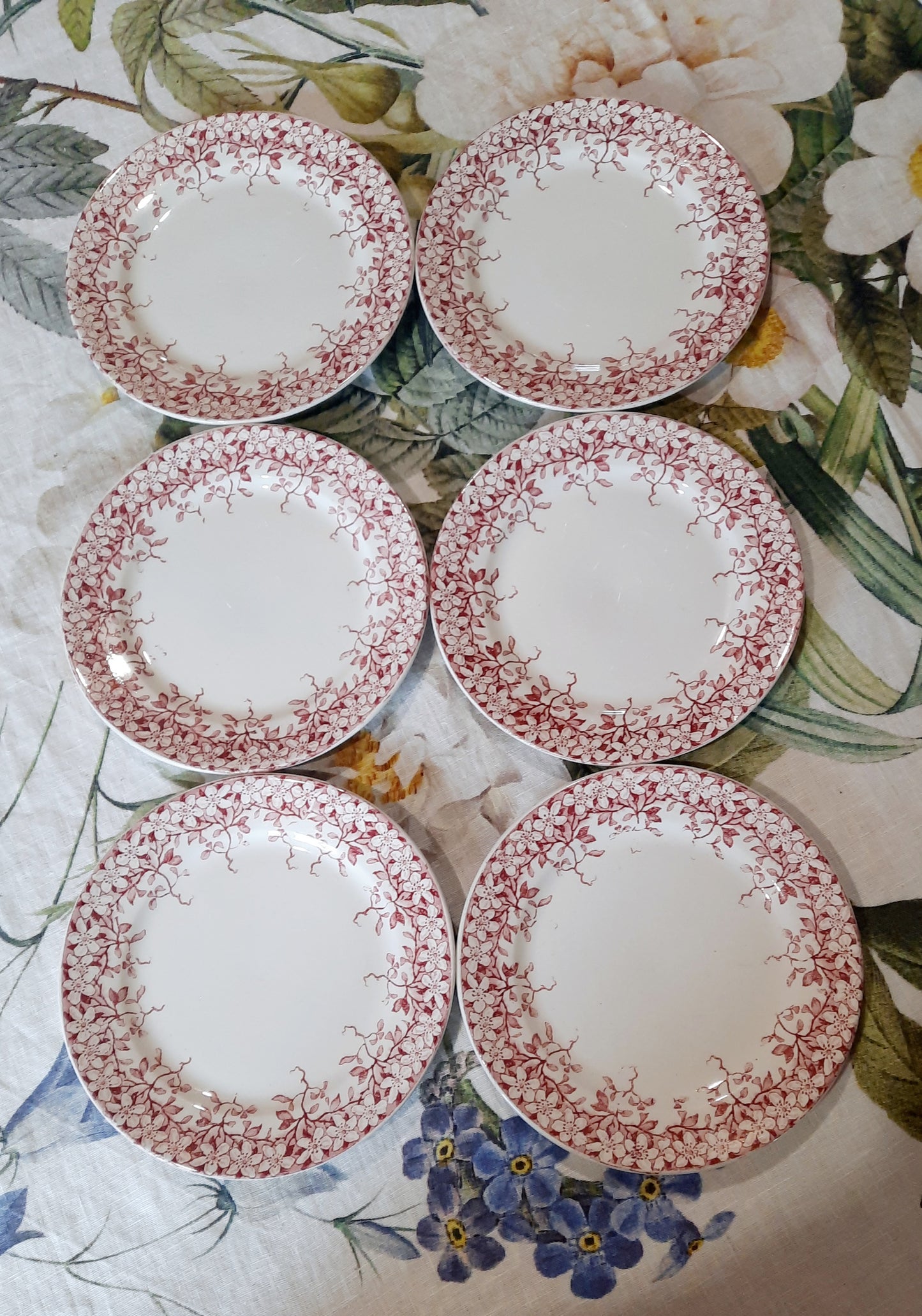 Lot de 6 assiettes à dessert Sarreguemines "Florine"