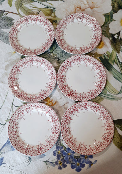 Lot de 6 assiettes à dessert Sarreguemines "Florine"