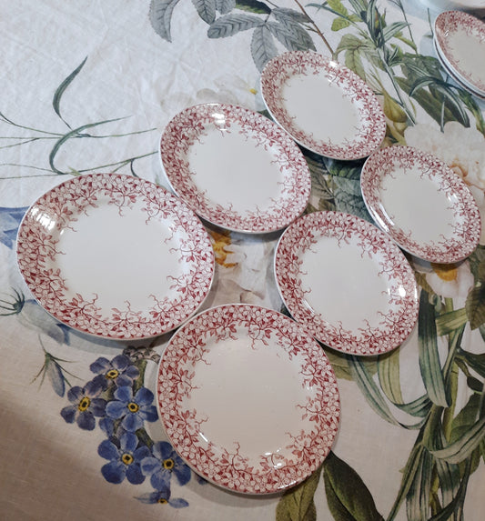 Lot de 6 assiettes à dessert Sarreguemines "Florine"