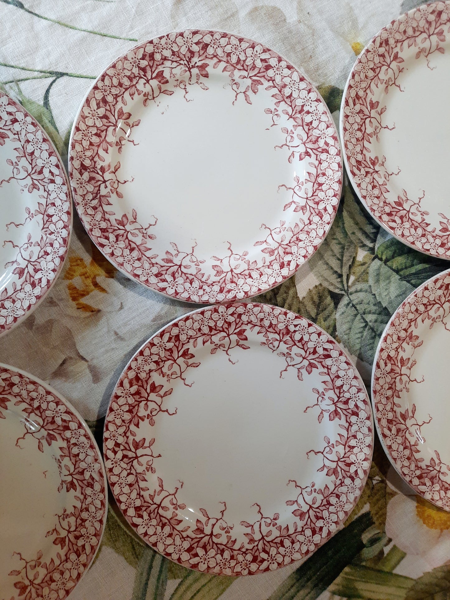 Lot de 6 assiettes à dessert Sarreguemines "Florine"