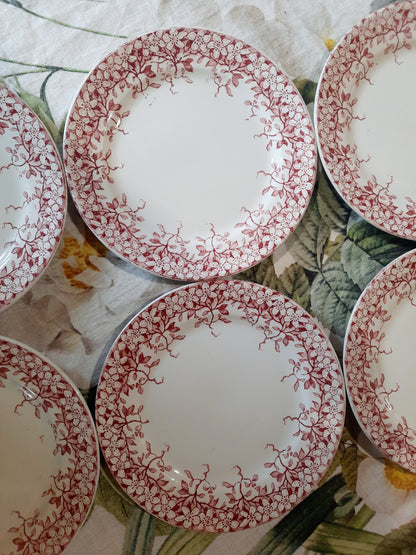 Lot de 6 assiettes à dessert Sarreguemines "Florine"